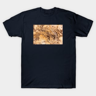 Ocean Eroded Rock Formation T-Shirt